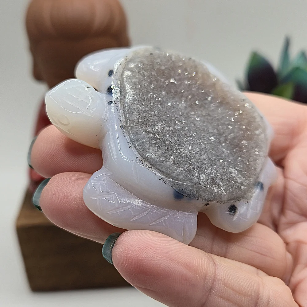 Druzy Agate Turtle Crystal Carving